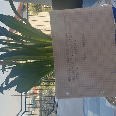 Apartment Goran Novi Vinodolski Eksteriør bilde