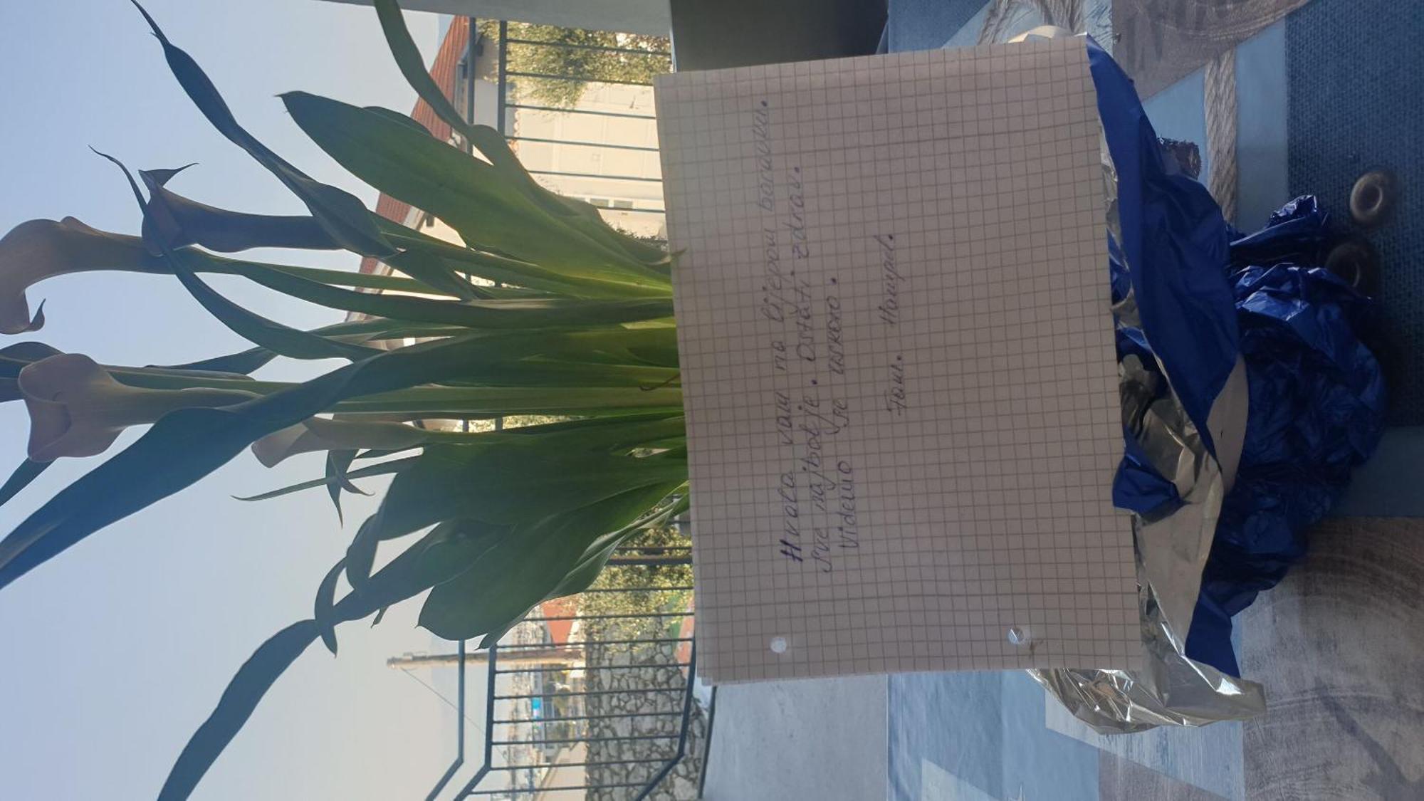 Apartment Goran Novi Vinodolski Eksteriør bilde
